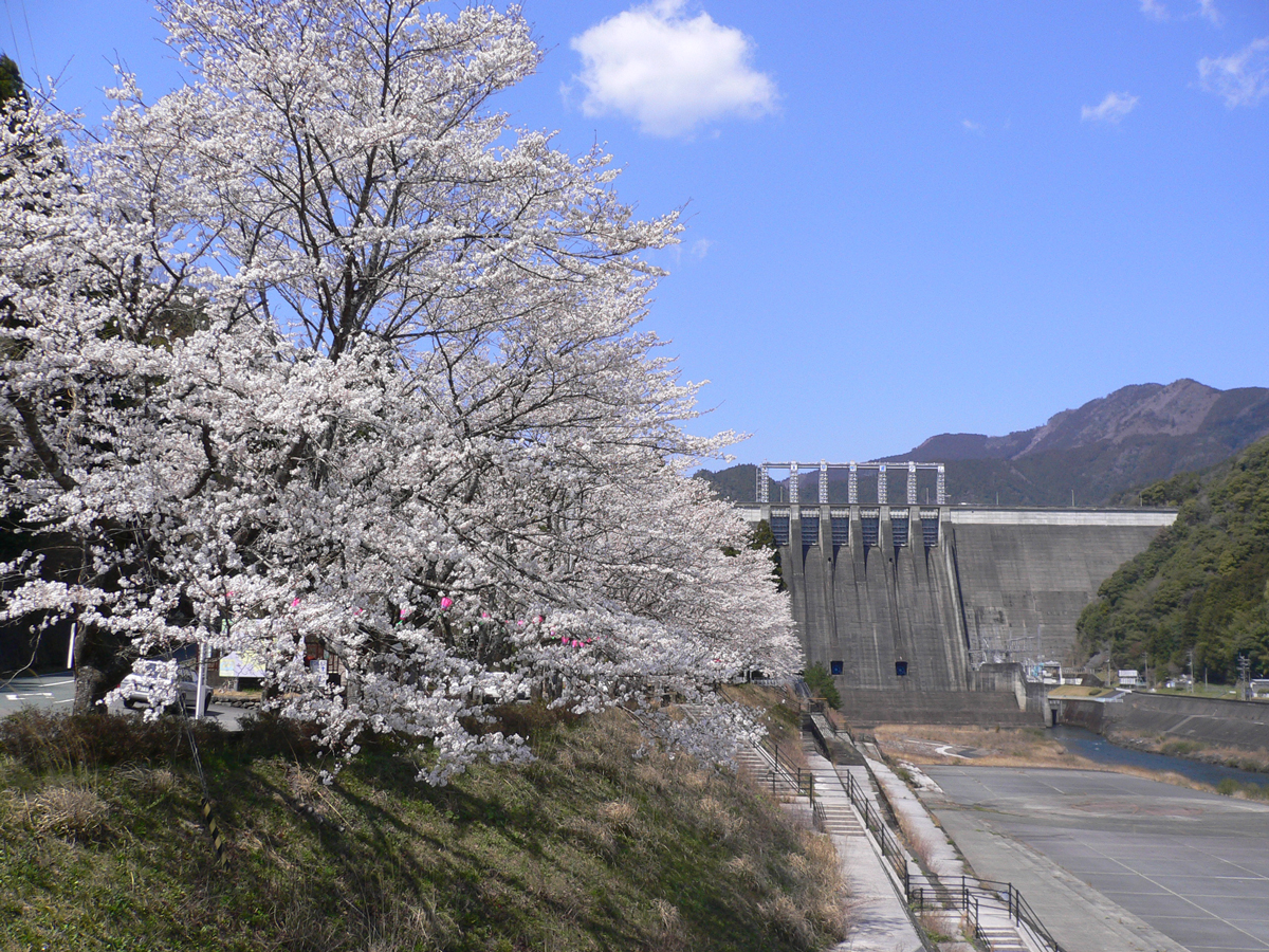 早明浦ダム湖畔コース 輪旅高知 Rintabi Kochi 高知県公式サイクリングサイト